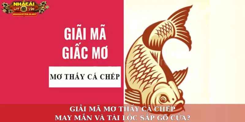 Mơ thấy cá chép