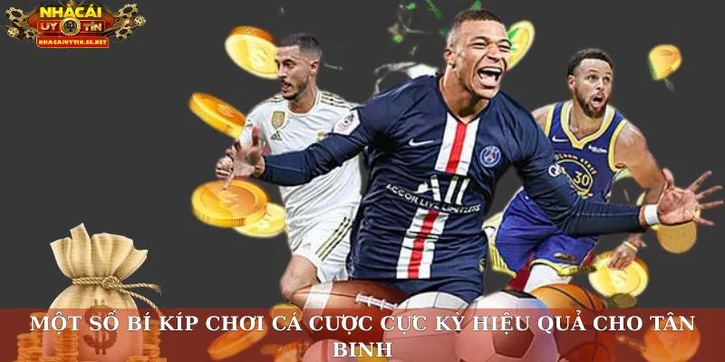 Một số bí kíp chơi cá cược cực kỳ hiệu quả cho tân binh