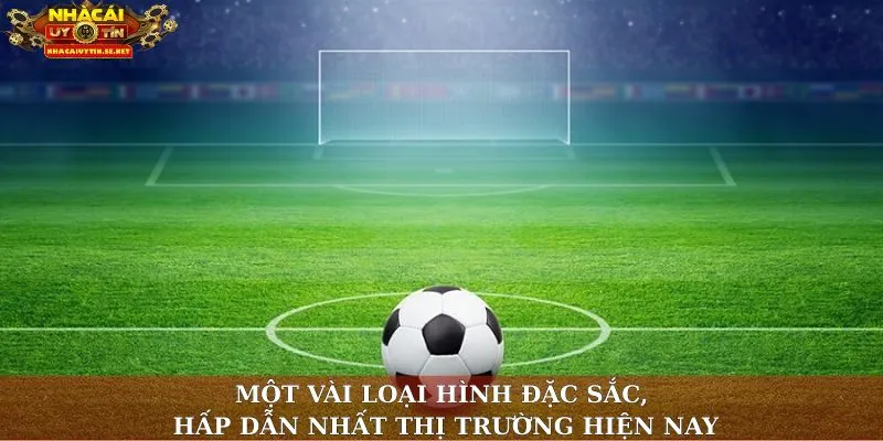 Một vài loại hình đặc sắc, hấp dẫn nhất thị trường hiện nay
