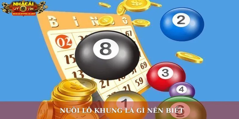 Nuôi lô khung là gì nên biết
