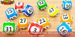 Phân tích cầu lô