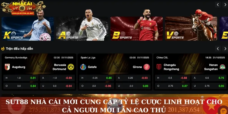 Sut88 nhà cái mới cung cấp tỷ lệ cược linh hoạt cho cả người mới lẫn cao thủ