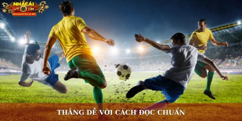 Bắt Kèo Chuẩn Là Gì? Giải Mã Bí Quyết Thắng Lớn Từ Cao Thủ 3 Thắng dễ với cách đọc chuẩn