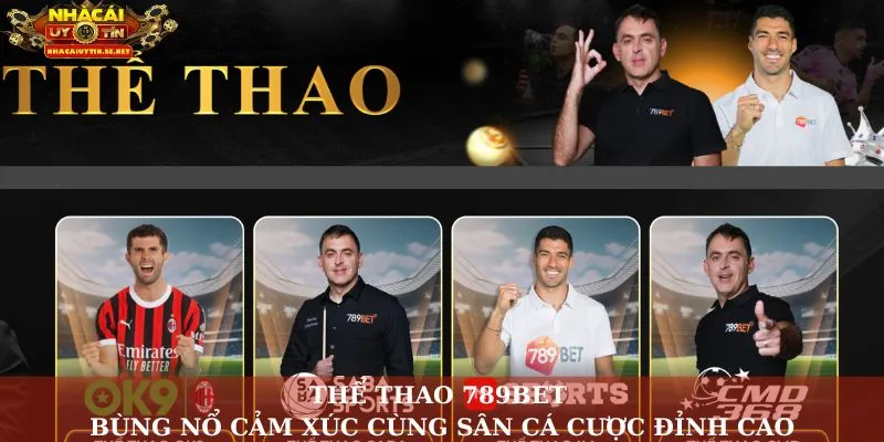 Thể Thao 789bet – Bùng Nổ Cảm Xúc Cùng Sân Cá Cược Đỉnh Cao 14 thể thao 789Bet