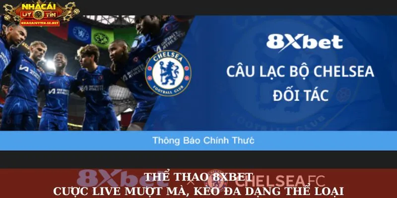 Thể Thao 8xbet: Cược Live Mượt Mà, Kèo Đa Dạng Thể Loại 12 Thể thao 8Xbet