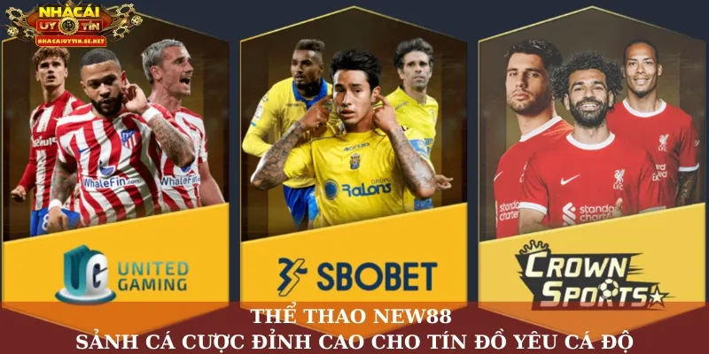 Thể thao New88 – Sảnh cá cược đỉnh cao cho tín đồ yêu cá độ