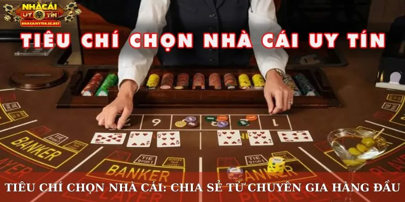 Tiêu Chí Chọn Nhà Cái: Chia Sẻ Từ Chuyên Gia Hàng Đầu 12 Tiêu chí chọn nhà cái