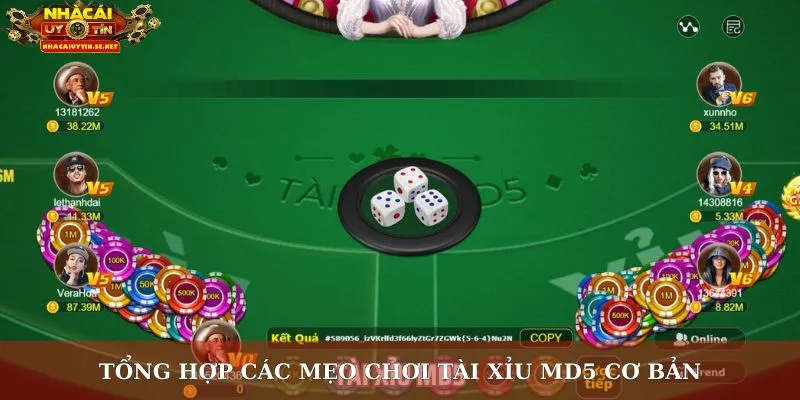Tổng hợp các mẹo chơi tài xỉu MD5 cơ bản