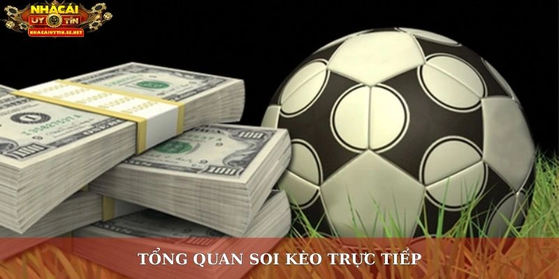 Tổng quan soi kèo trực tiếp