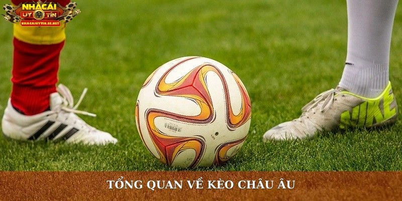 Kèo Châu Âu: Mẹo Chọn Cửa Cược Chuẩn Dành Cho Người Mới 2 Tổng quan về kèo châu Âu