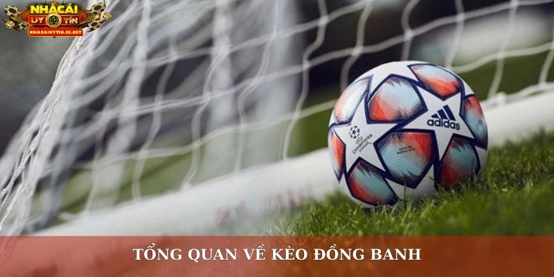 Kèo Đồng Banh Là Gì? Bật Mí Cách Đọc Chuẩn Cho Tân Thủ 2 Tổng quan về kèo đồng banh