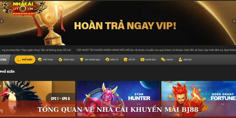 Tổng quan về nhà cái khuyến mãi BJ88